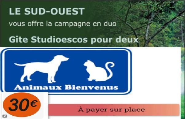 Gite Studioescos El Uno Luaran gambar